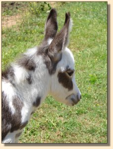 Hand Painted 'n Heaven